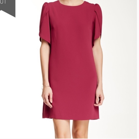 Cynthia Steffe Dresses & Skirts - Cynthia Steffe Tulip sleeve mini dress